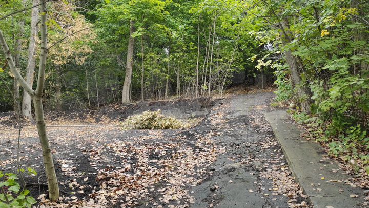 Участок 6 сот. (ИЖС)