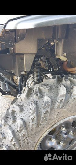 Ямаха гризли