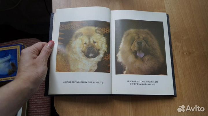 Чау-чау. Сборник статей под ред. А.М. Юлина Минск