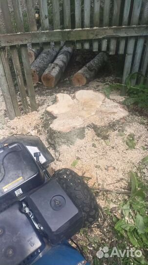 Дробление пней