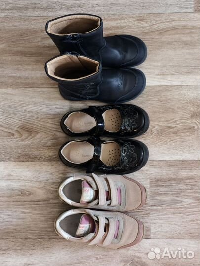 Biomecanics falcotto 28