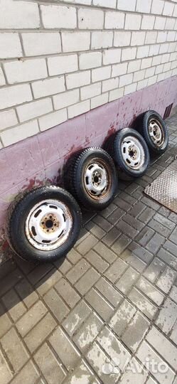 Gislaved Nord Frost 5 175/70 R13 82M