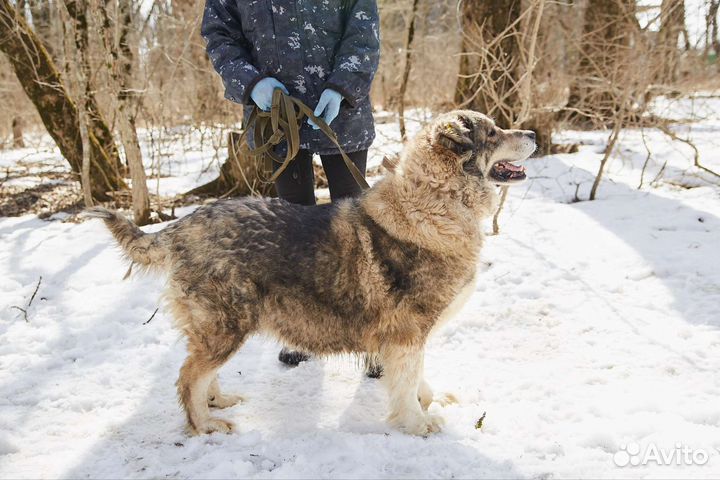 Ищет дом классная большая Мадина