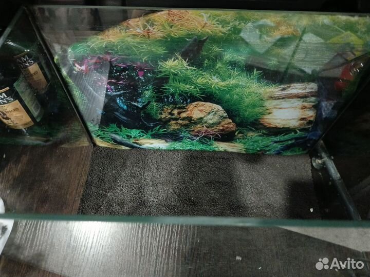 Аквариум 35 литров