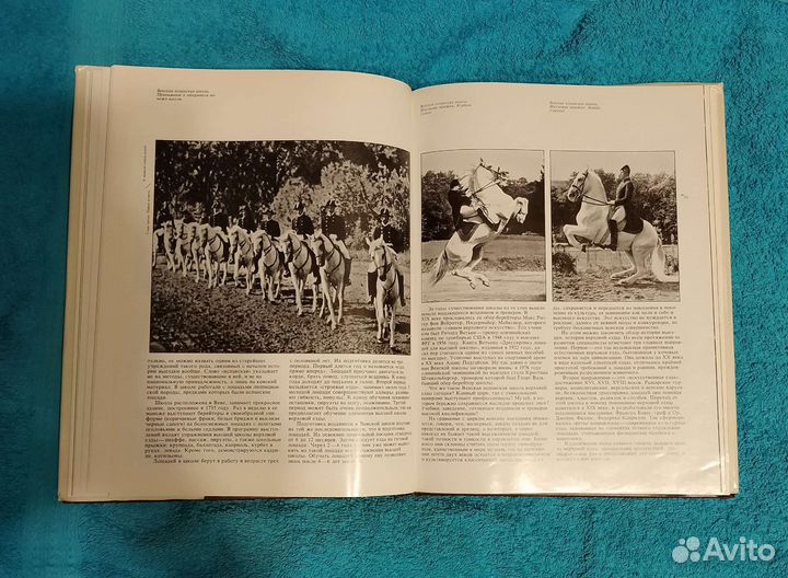 Книги о лошадях