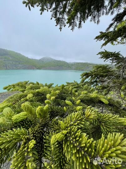 Туры / экскурсии по Сахалину