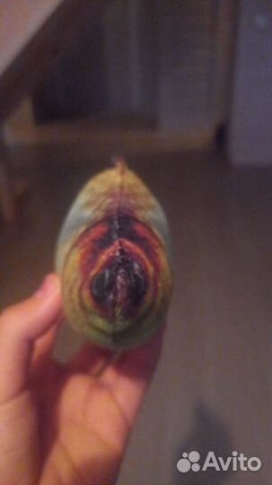 Друг для рыбалки