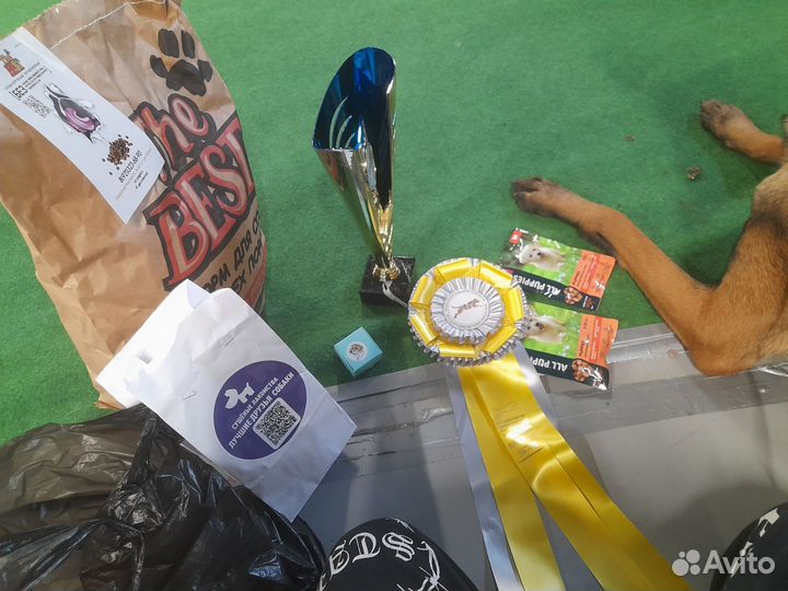 Услуги хендлера