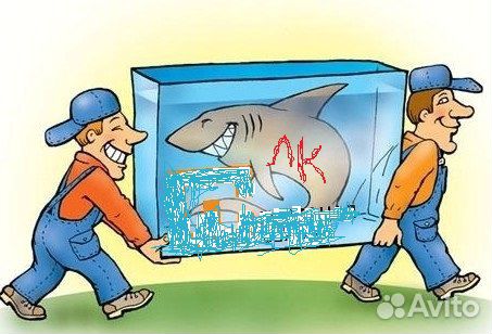 Разнорабочие в рыбный цех