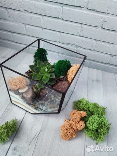 Флорариум, подарок, цветы, суккуленты