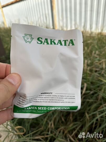 Семена эустомы Rosita, Alissa, Саката (sakata)