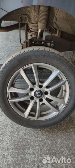 Roadstone N8000 205/55 R16 Z