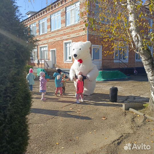 Белый мишка поздравление