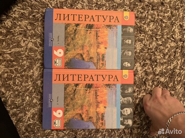 Учебник по литературе 9 класс(1я и 2я части)