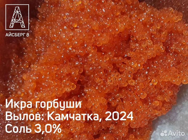 Икра горбуши 2024