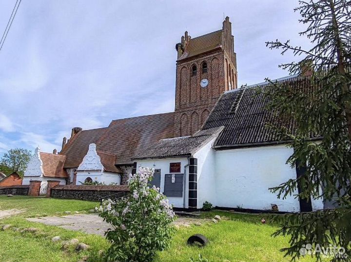 Аренда авто с водителем. Транфер