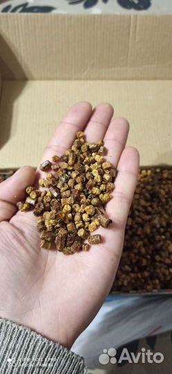 Перга пчелиная