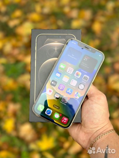 iPhone 12 Pro 256 gb Ростест