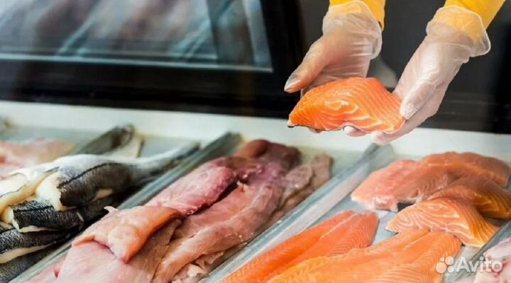 Франшиза рыбы и морепродуктов с прибылью