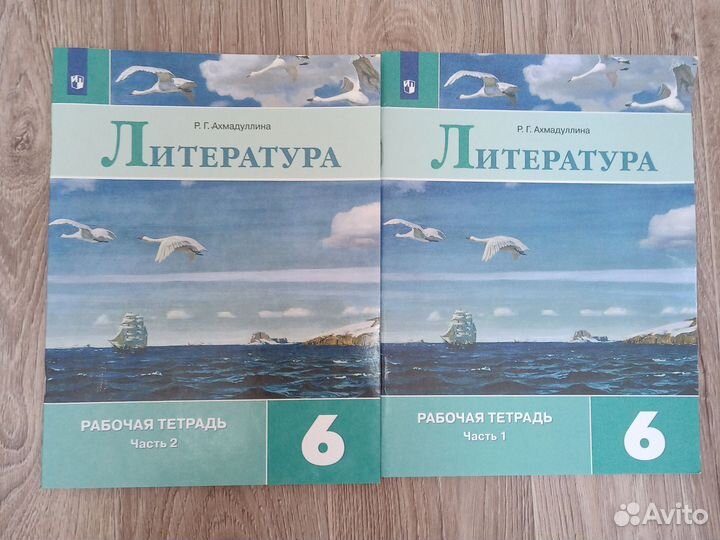 Комплект Рабочих Тетрадей по Литературе 6 кл