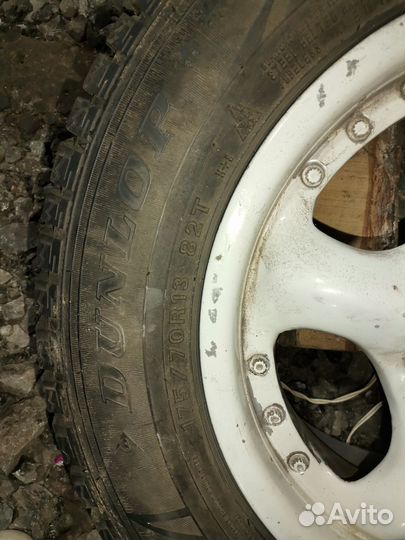 Dunlop Winter Maxx 175/70 R13