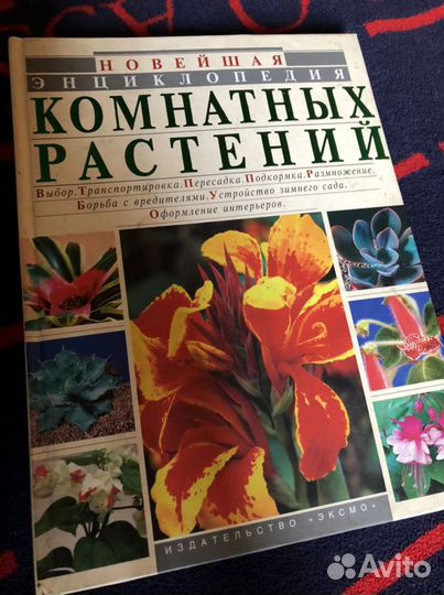 Все о комнатных растениях, о газоне и кустарниках