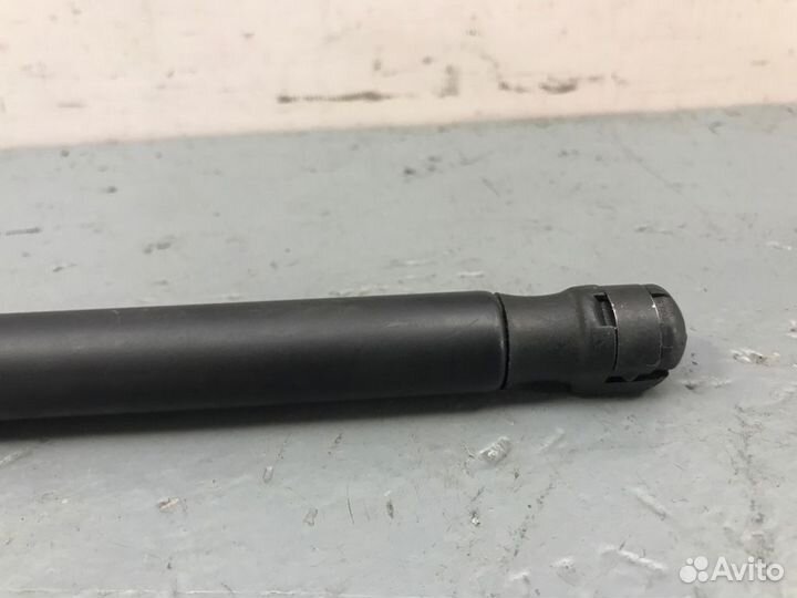 Амортизатор капота Audi A3 8P 1 2008