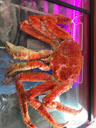 Морепродукты, крабы, креветки, икра