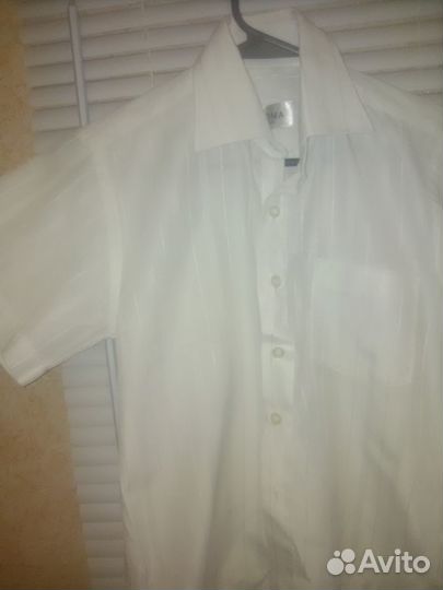 Мужская рубашка белая короткй рукав