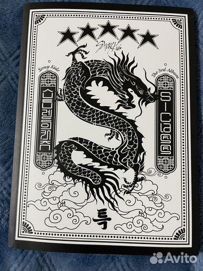 Фотобук + диск stray kids s-class