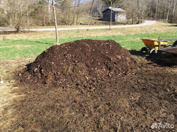 Перегной коровий