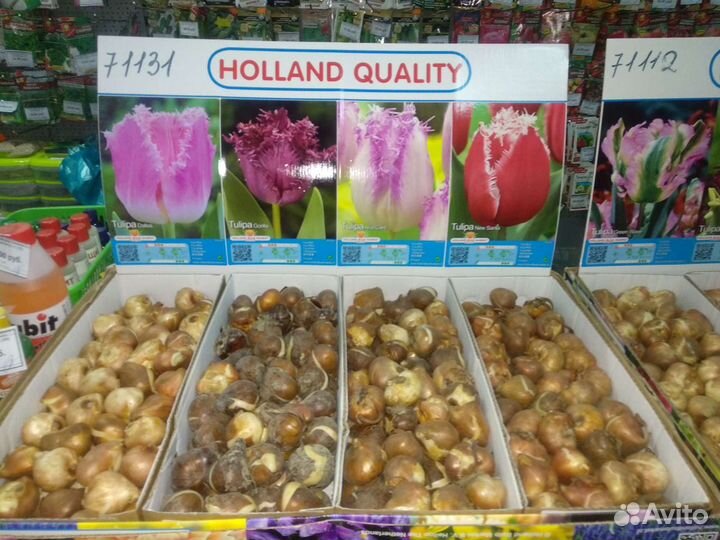 Добро пожаловать В Садовый Центр