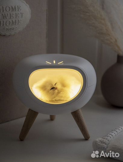Продам игрушку котик в домике. Новый