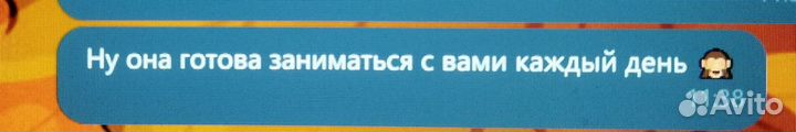 Опытный преподаватель английского языка для детей