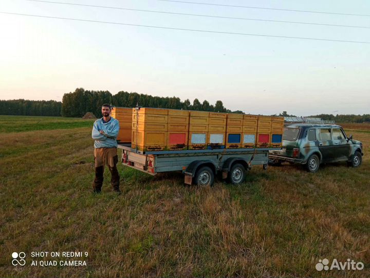 Мед,Перга,Пыльца,Соты,Прополис,Воск