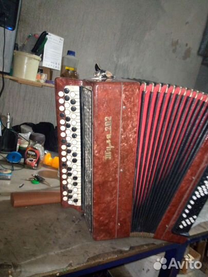 Баян Тула 202