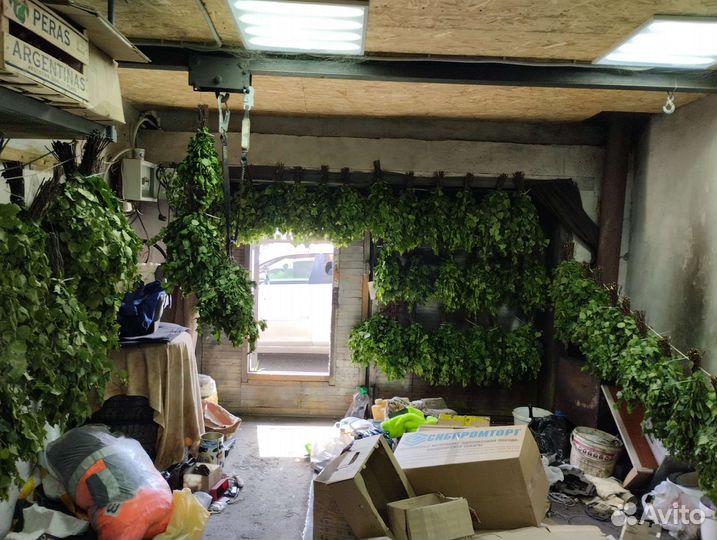 Веники для бани березовые свежие 2023 опт разница