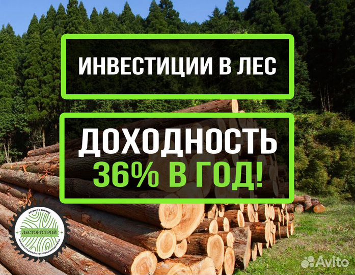 Инвестиции +36% за год