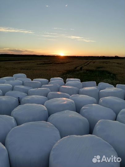 Сенаж в рулонах
