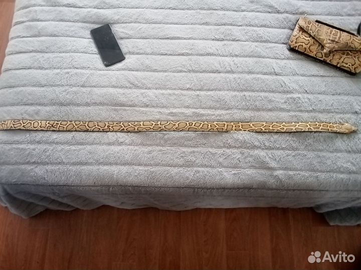 Сумка и ремень из змеи