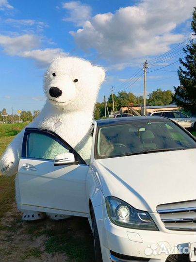 Белый, Барби Розовый Мишка и другие- поздравление