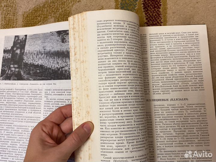 Книги жизнь животных жизнь растений