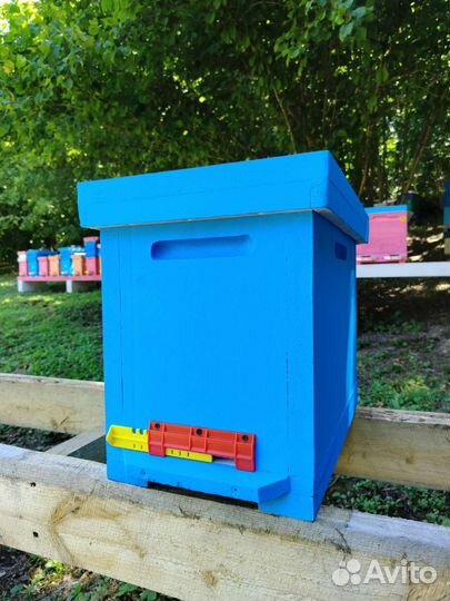 Улей ппс 6 рамок