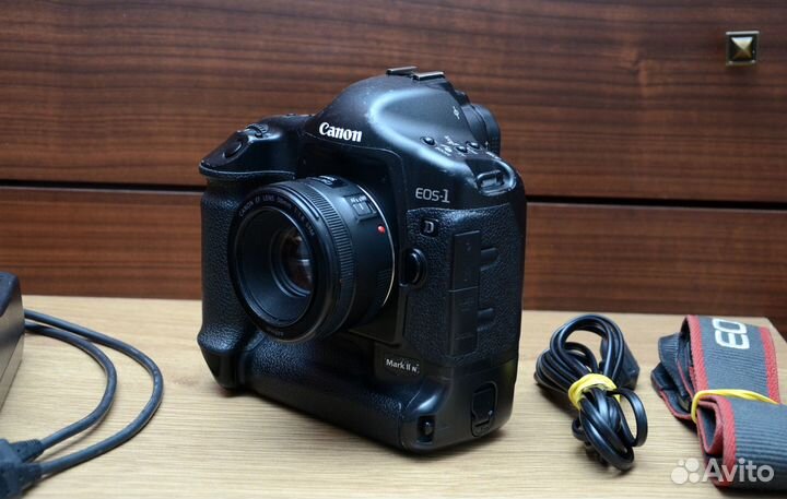 Canon 1D mark II N + Canon 50mm f1.8 STM