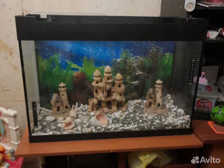 Аквариум на 100 литров