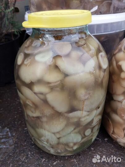 Грибы маринованные
