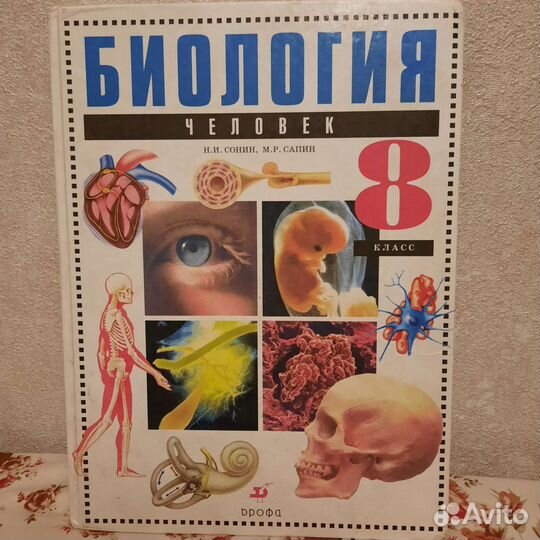 Школьные книги