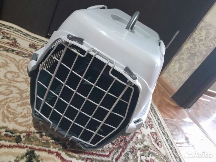 Аренда. Переноска для кошек и собак