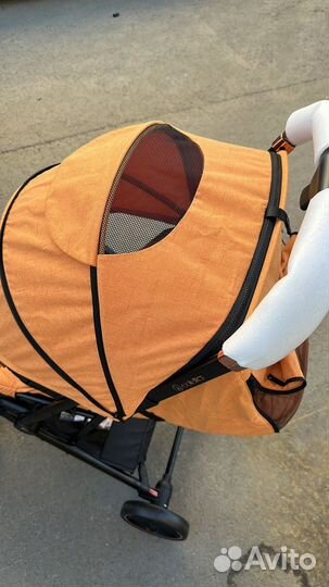 Coletto Maya Automatic 2023