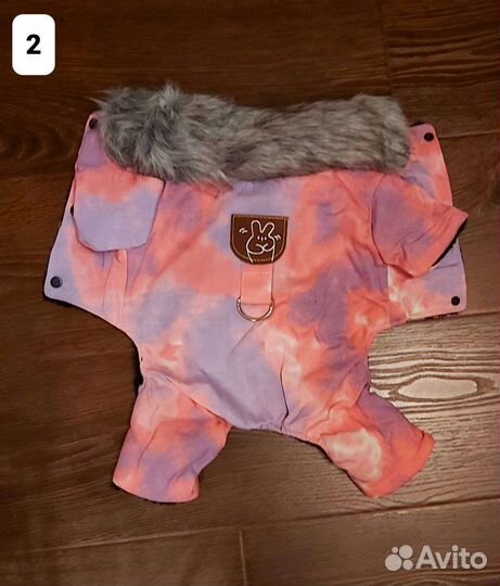 Одежда для собак